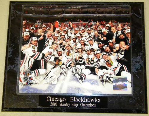 Chicago Blackhawks 2010 Stanley Cup Champions Plaque #3  