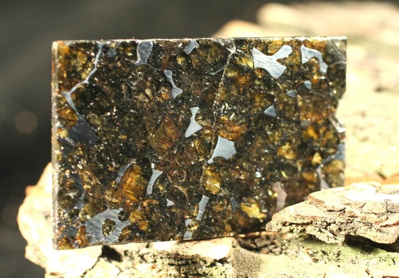 ALMOST FULLY OLIVINE PALLASITE METEORITE SEYMCHAN 23g  