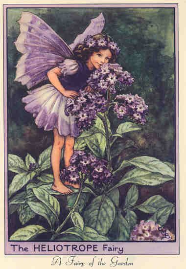 FLOWER FAIRIESCOWSLIP. VINTAGE PRINT. C.M.BARKER.c1930  