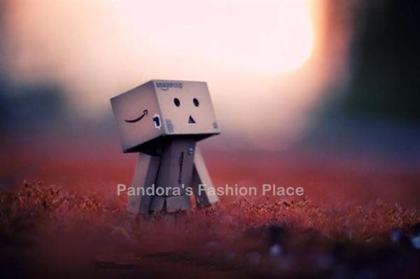 US Seller Revoltech Danbo Mini 3 in Danboard  Japan Figure Box 