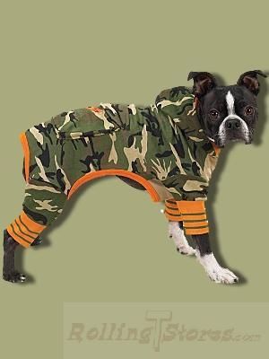 DOG PET CAMO JUMPSUIT HIKING FISHING GREEN LARGE NEW  