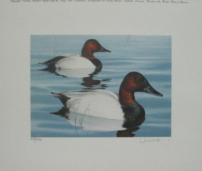 Canvasbacks TN Waterfowl Stamp by Jim Lamb  