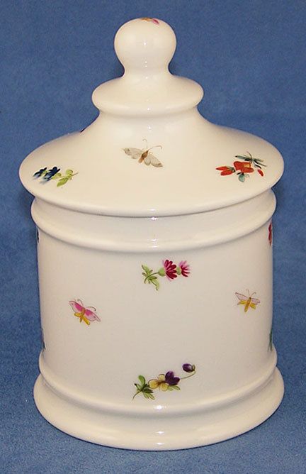 Vintage Limoges Leclair Bugs & Buds Apothecary Jar  