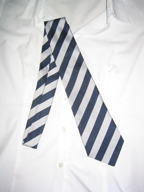 ALL NEW ST TRINIANS SCHOOL TIES BLUE/GREY  