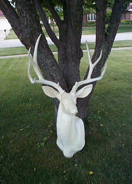 Vintage Huge Faux BUCK / STAG / DEER HEAD with ANTLERS wall mount 