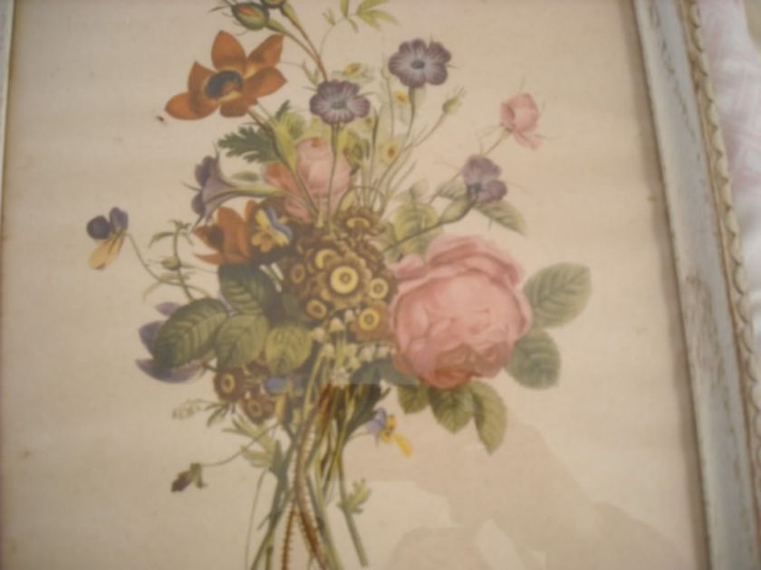 vintage antique? shabby n chic cabbage rose violet flowers picture 