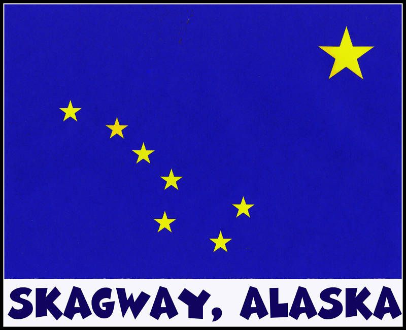 Skagway Alaska Souvenir T Shirt 8 Sizes 3 Colors  