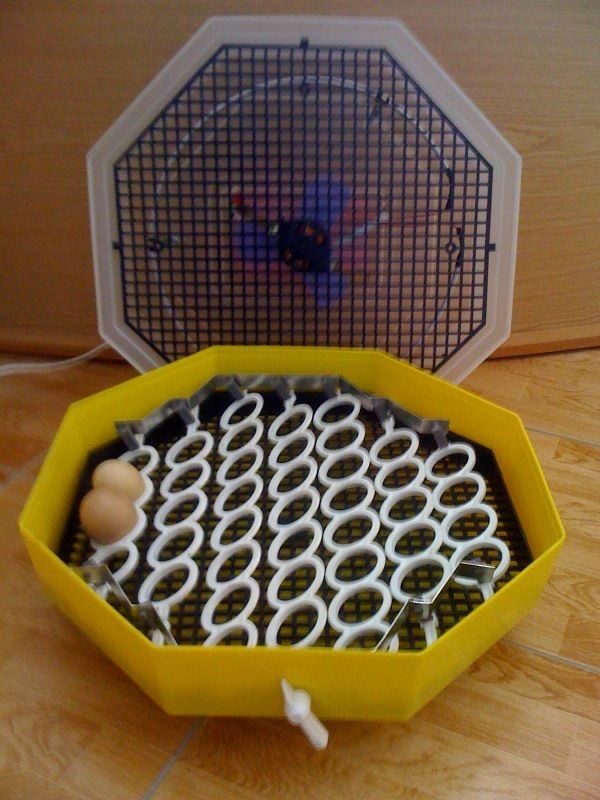 SEMIAUTOMATIC 42 EGGS INCUBATOR  