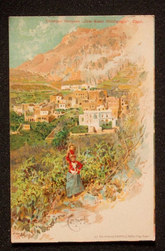 1900 Giuseppe Morgano Zum Kater Hiddigeigei Capri Italy  