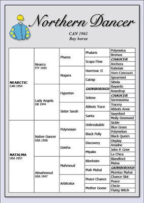 NORTHERN DANCER PEDIGREE CHART horse racing memorabilia  