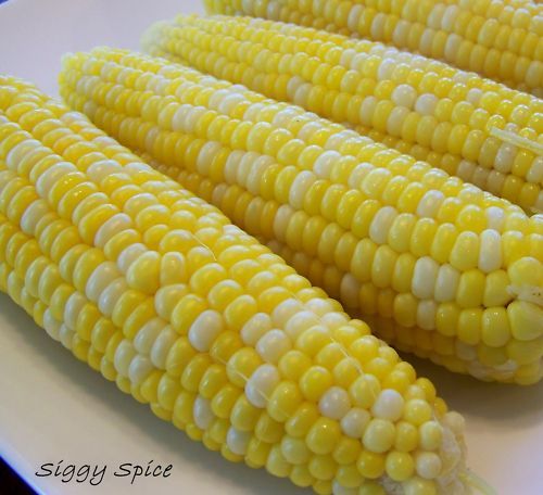 Delicious~PEACHES & CREAM SWEET CORN~Seed~The Best  