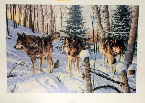 Robert Schmidt WOLF Print Shadow Ridge 28 x 19  