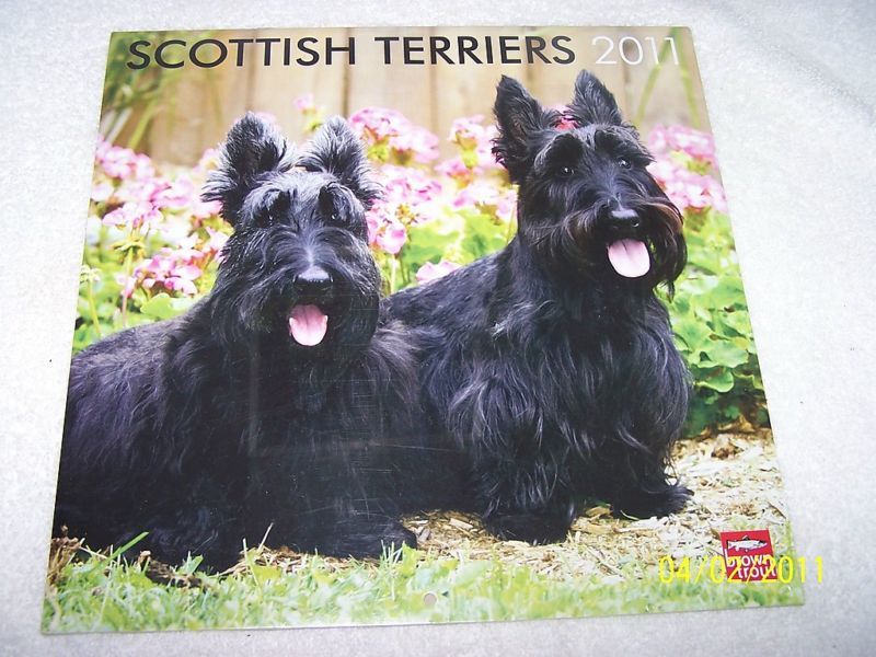 2011 Calendar Scottish Terriers Unused & Shrink Wrapped  