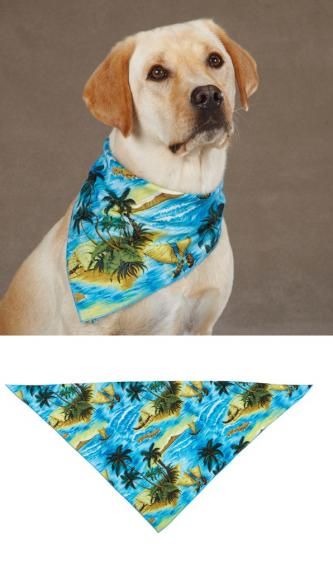 Aloha Camp Bandanas for Dogs   Hawaiian Dog Bandana