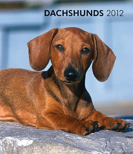 Dachshunds 2012 Hardcover Engagement Calendar 9781421677477  