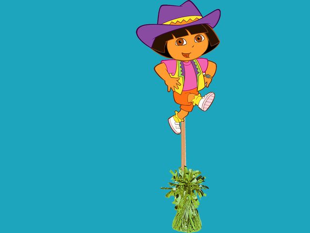 DORA GO GO DIEGO THE EXPLORER COWGIRL PARTY CENTERPIECE GIRL BOY 