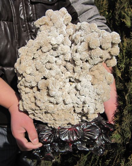 20.4lb FLOWER LIKE DESERT ROSE    BARITE SPECIMEN Huge  