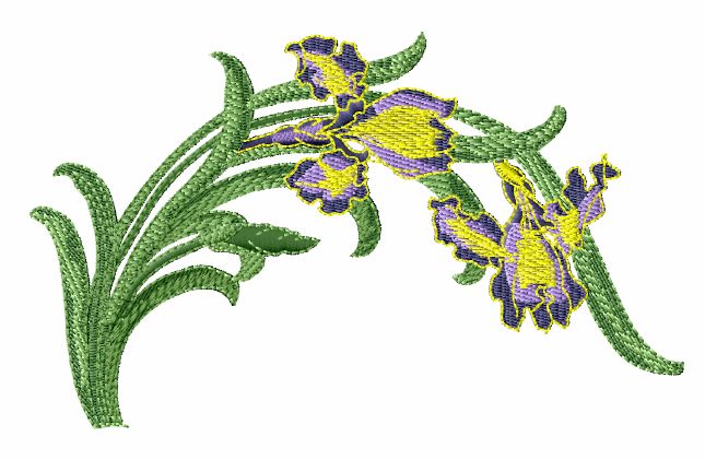 Iris Blossoms machine embroidery designs 5x7 hoops  